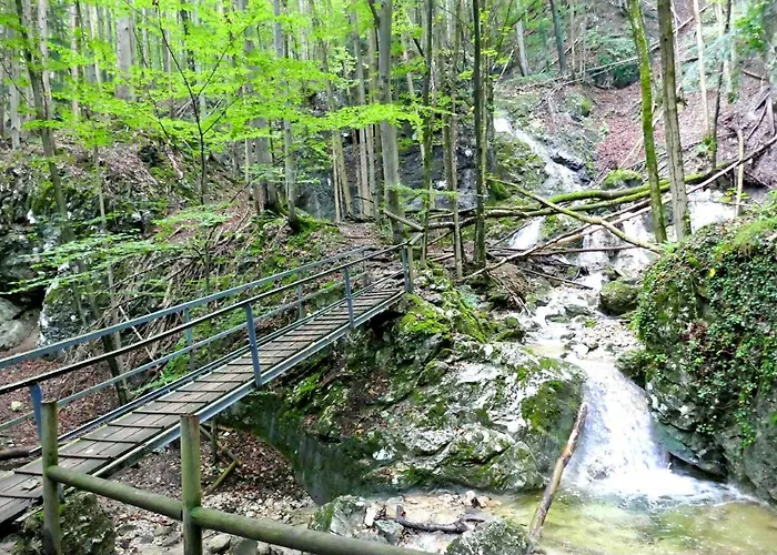 Landhaus Falkennest