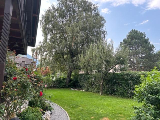 Appartement Falkennest *